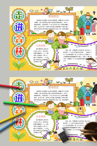 中小学生世界森林日走进森林手抄报