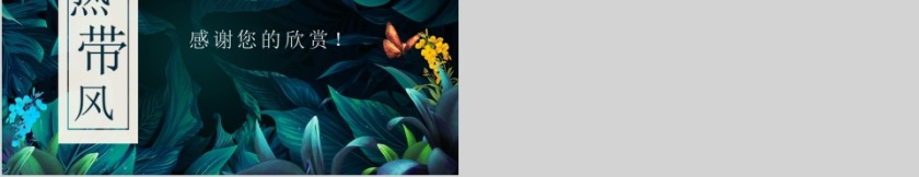 浓郁叶子花卉通用模板PPT 第5张