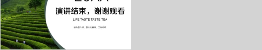 简约淡雅茶文化活动ppt模版第5张