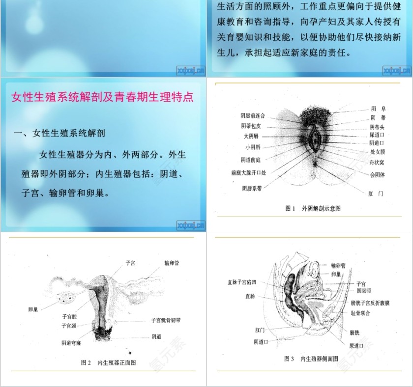 月嫂服务实用技能ppt第2张