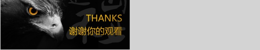 专注公司宣传述职报告工作总结通用PPT模板第5张