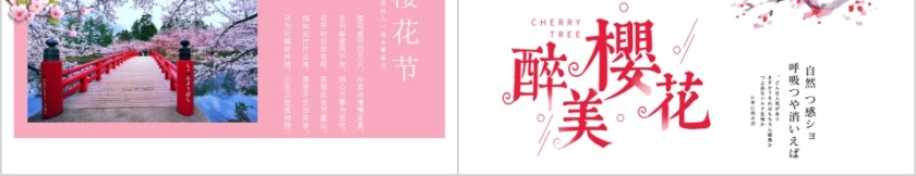 浪漫樱花季节樱花PPT模板  第5张