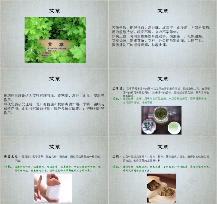 艾灸疗法培训PPT课件第2张