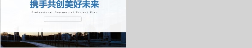 简约商业项目计划书模版第5张