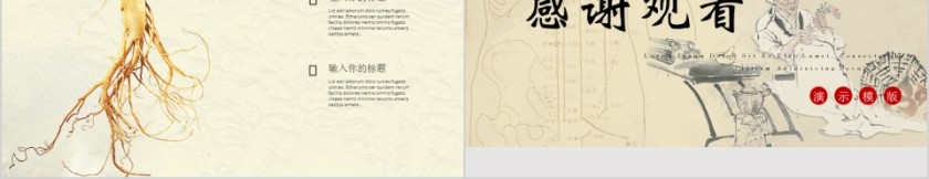 中医文化PPT第5张