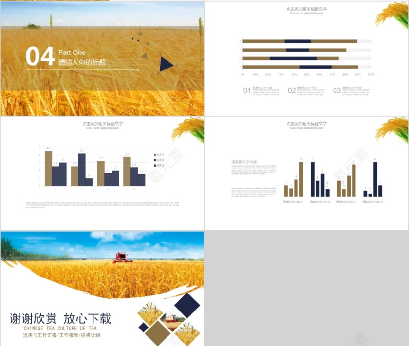 农副产品推广宣传推介工作计划总结汇报PPT模板第4张