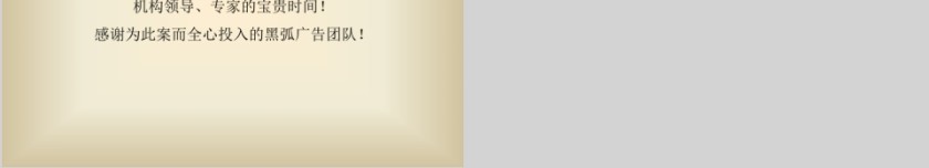 房地产营销宣传ppt第12张