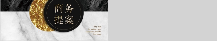 黑色简约大气商务提案PPT模板第5张