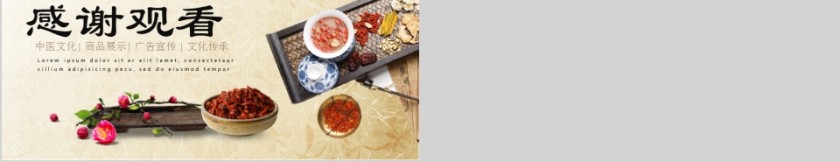 中医中药中草药养生文化PPT第5张