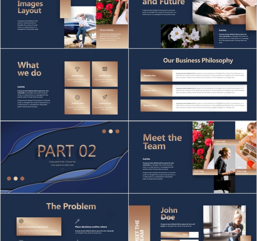 简约精致商务提案计划书PPT模板第2张