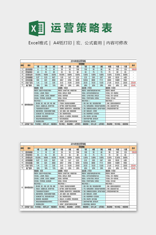 专业旗舰店年度月度运营计划表excel模板