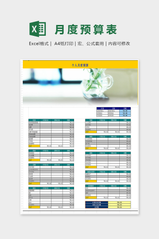 精美简单月度预算表EXcel