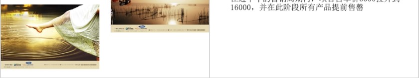 房地产庭院案例PPT第4张