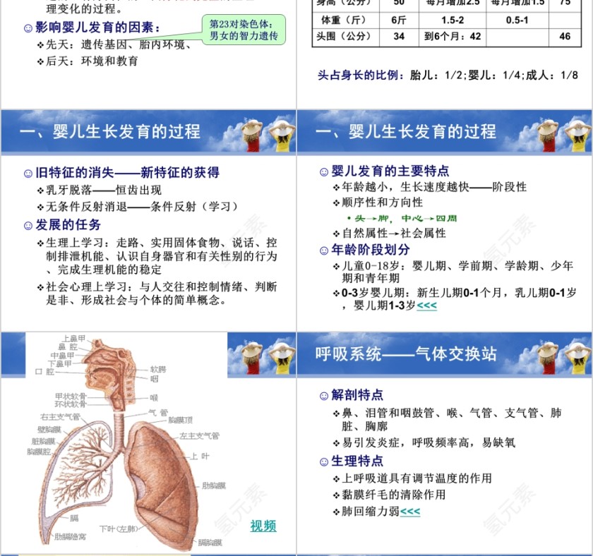 育婴师培训PPT课件第6张