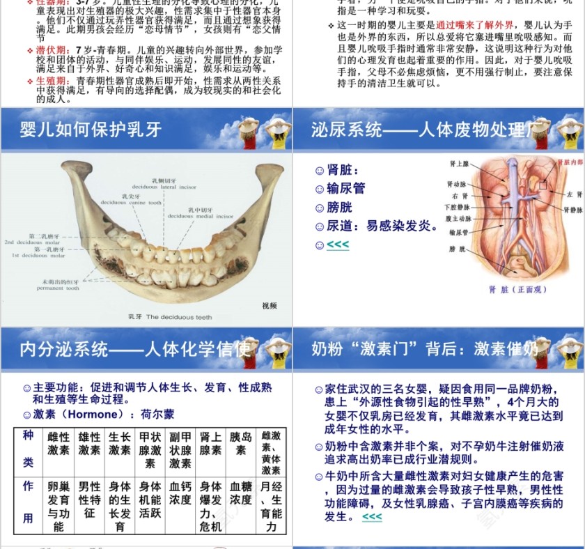 育婴师培训PPT课件第8张