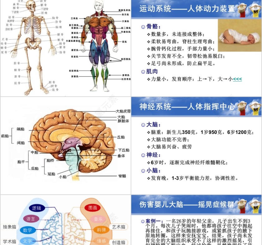 育婴师培训PPT课件第9张