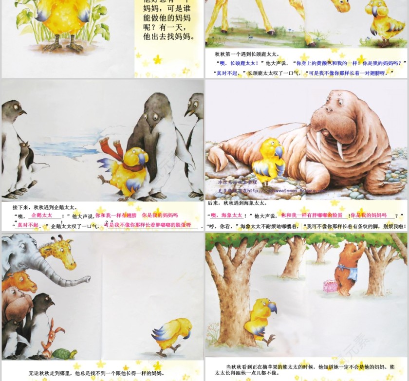 秋秋找妈妈幼儿绘本教育课件第2张