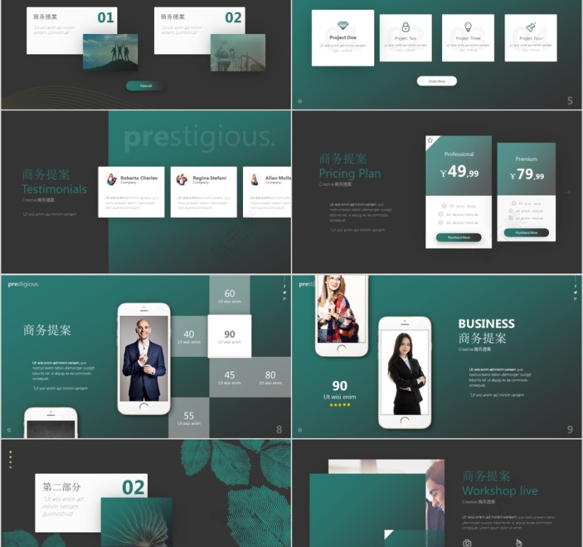 实用经典商务提案计划书PPT模板第2张