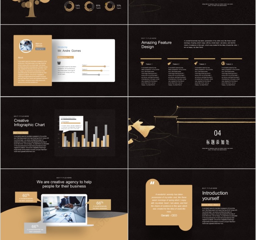黑色大气商务提案计划书PPT模板第3张
