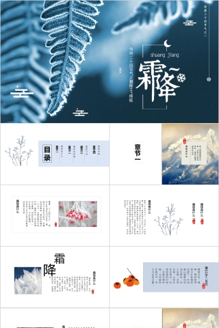 二十四节气之霜降