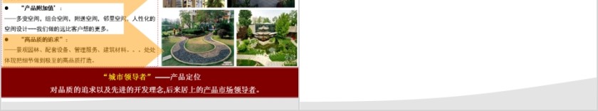 房地产项目前期定PPT位报告第6张