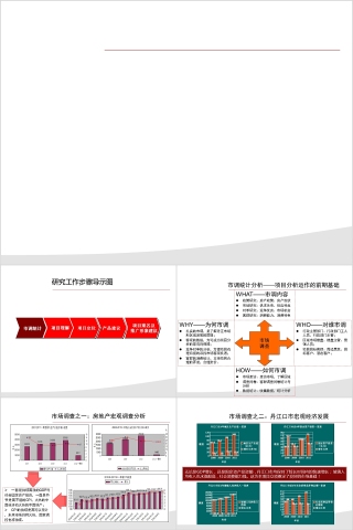 房地产项目前期定PPT位报告