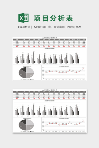 月度年度项目收入支出图表excel模板