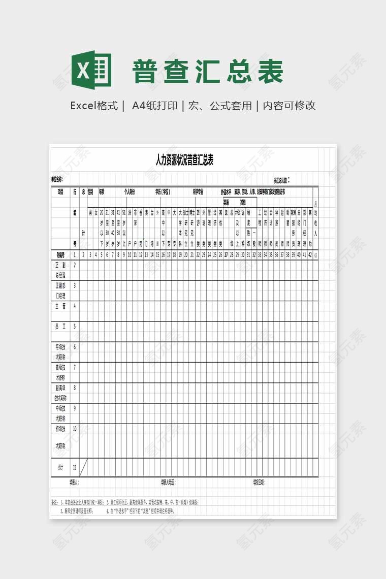 简单大方精美普查汇总表Excel