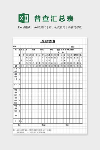 简单大方精美普查汇总表Excel