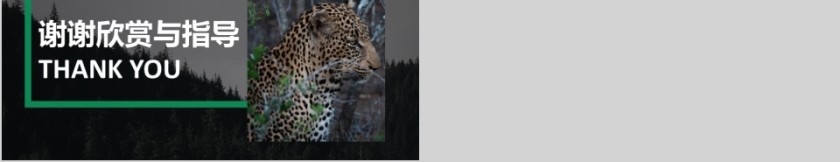 商务欧美ppt模板简约2019高端大气 商业工作汇报时尚极简风素材第5张