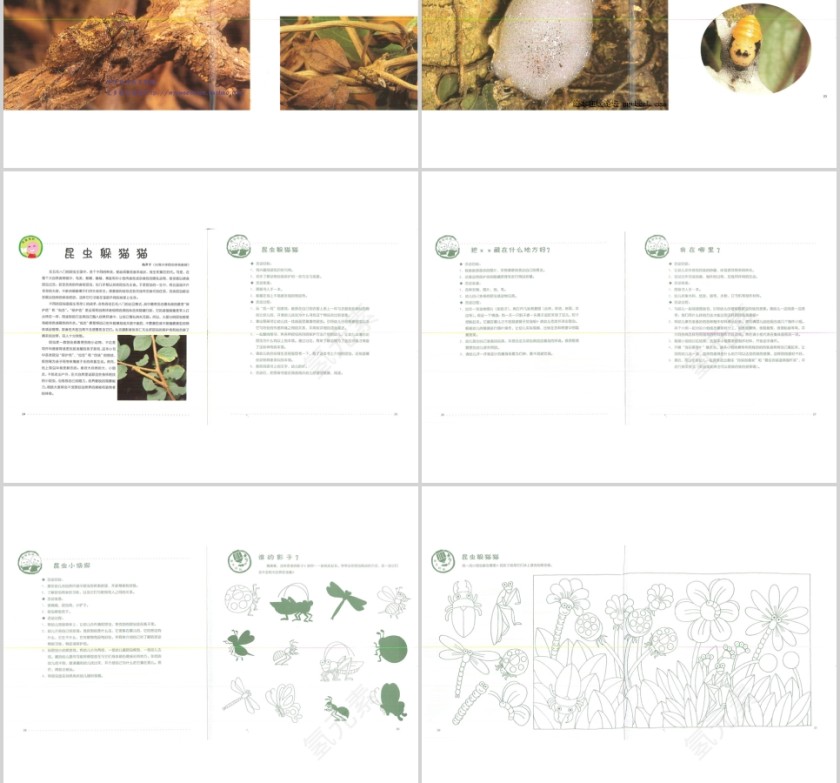 昆虫躲猫猫幼儿绘本教育课件 第4张