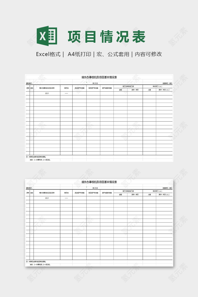 境外办事机构及项目基本情况表