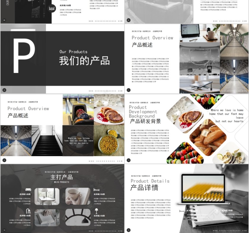 家居用品公司产品介绍PPT模板第3张