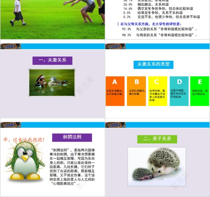 成功家庭教育课程和谐家庭（刺猬理论）第2张