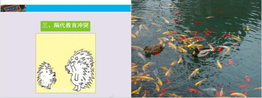 成功家庭教育课程和谐家庭（刺猬理论）第3张