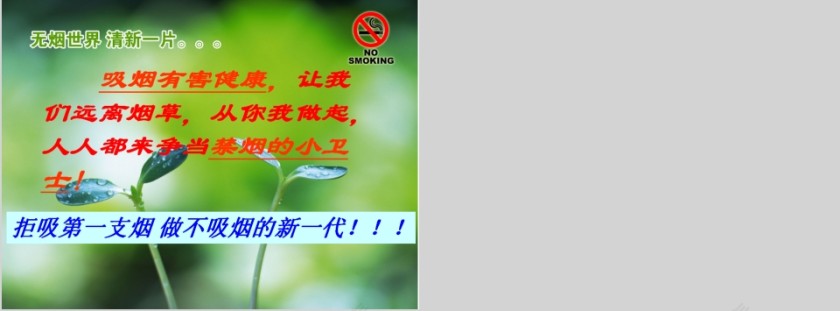 世界无烟日主题班会PPT模板第11张