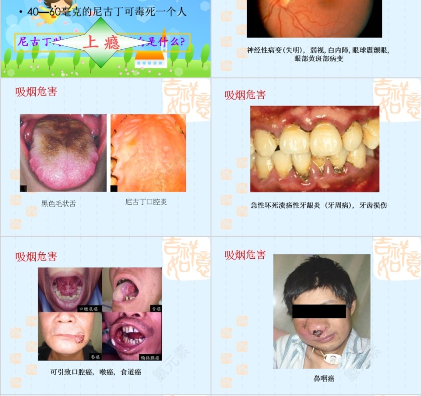 世界无烟日主题班会PPT模板第6张