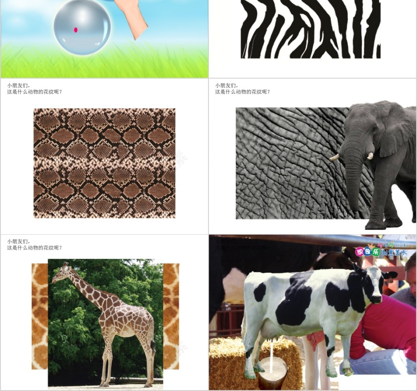 幼儿园创意美术动物的花纹ppt第2张