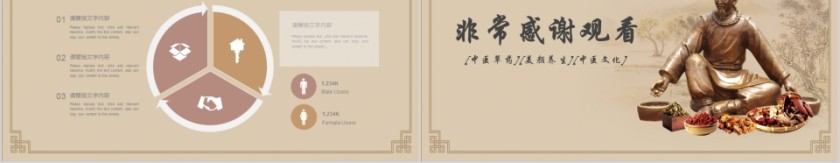 中医中药模版工作概述PPT第5张