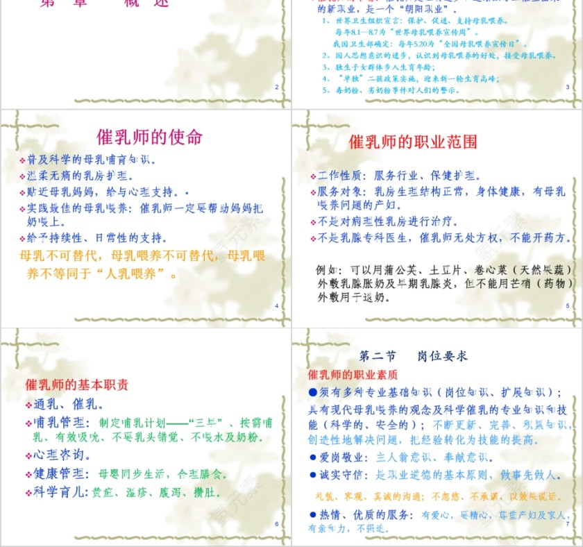 简约清新催乳师培训教材PPT模板第2张