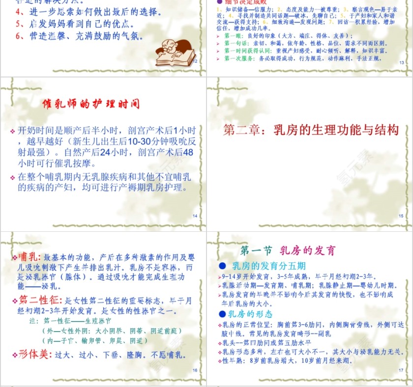 简约清新催乳师培训教材PPT模板第4张