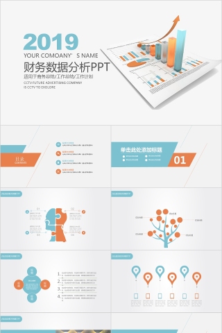 2019财务数据分析PPT