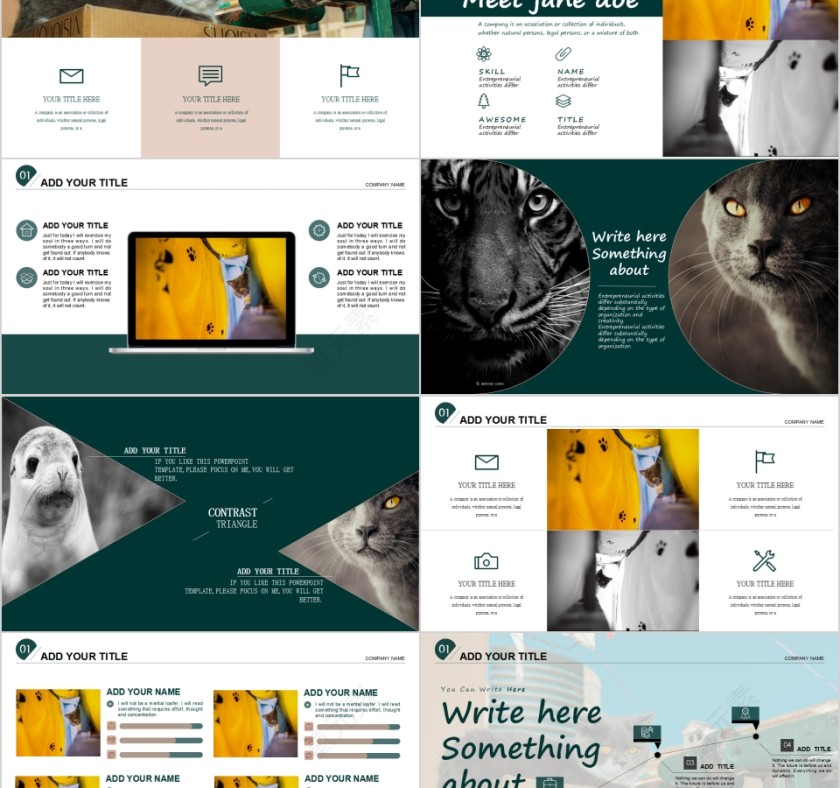 萌宠宠物行业PPT模板   第2张