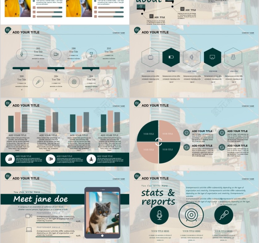 萌宠宠物行业PPT模板   第3张