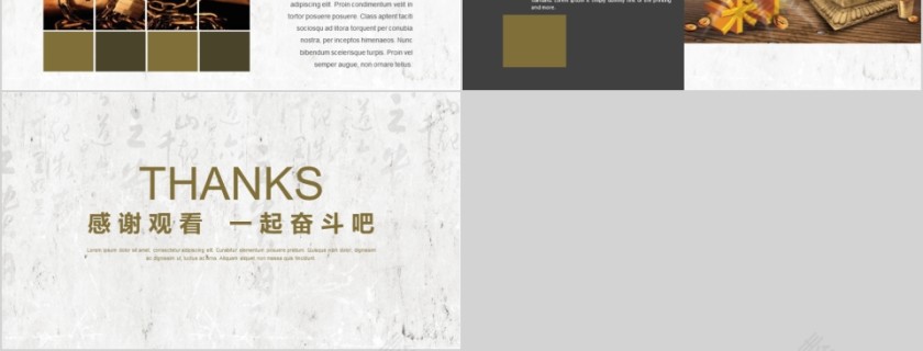 中国人寿保险公司商务策划ppt模板第6张