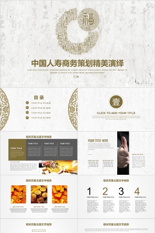 中国人寿保险公司商务策划ppt模板