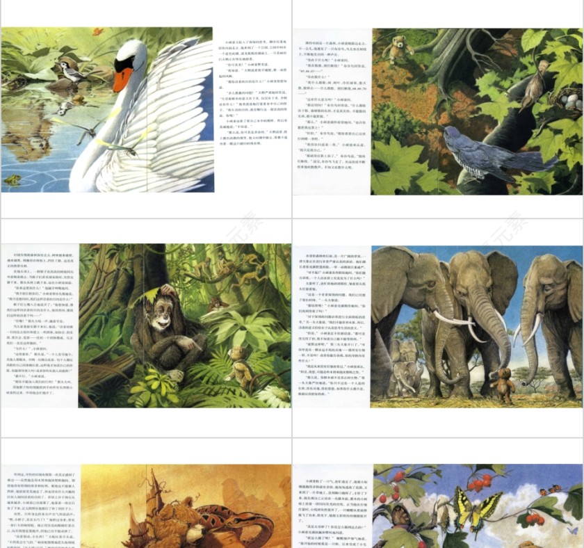 出走的绒布熊幼儿园绘本教育课件第3张