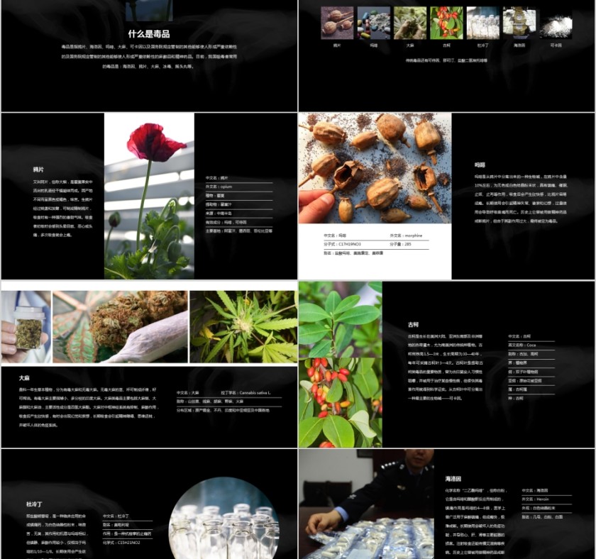 禁毒教育课件PPT模板第2张