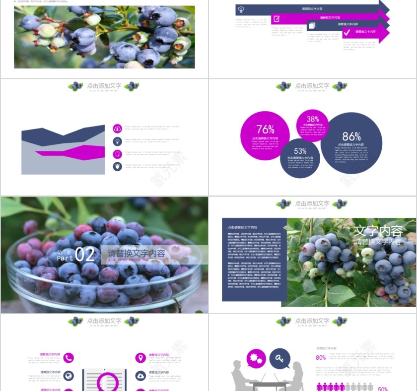 水果蓝莓产品宣传PPT模板第2张