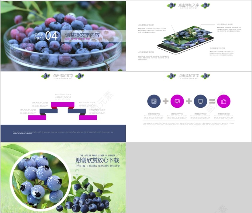 水果蓝莓产品宣传PPT模板第4张